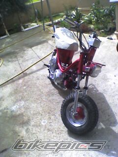 Bike Photo 800099