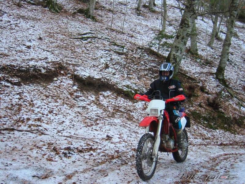 Bike Photo 800185