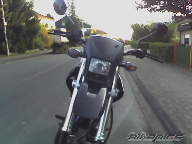 Photo 800268
