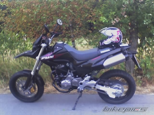 Photo 800282