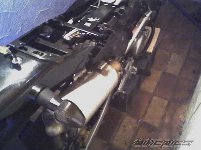 Photo 800284