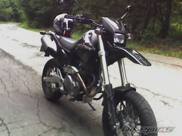 Photo 800297