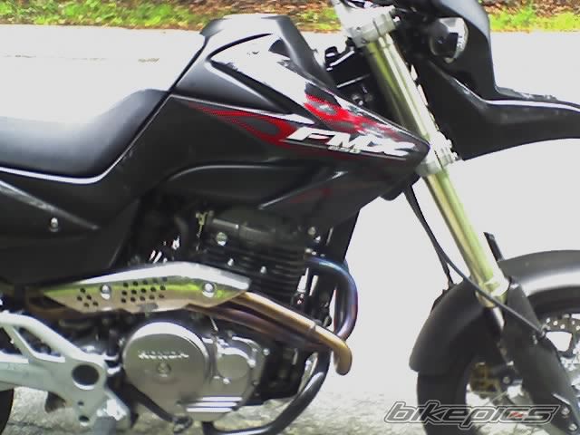 Photo 800299