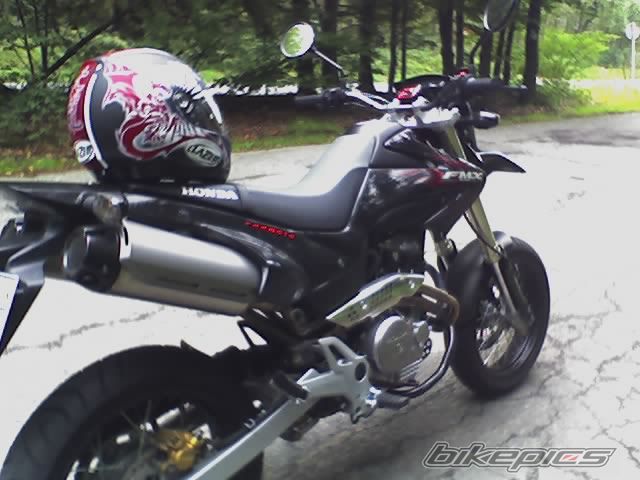 Photo 800302