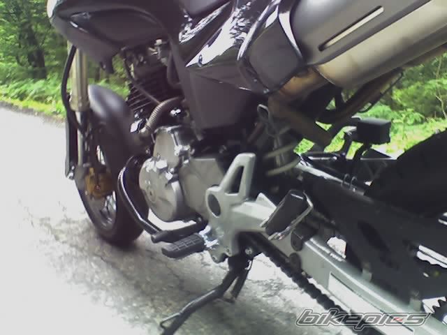 Photo 800304