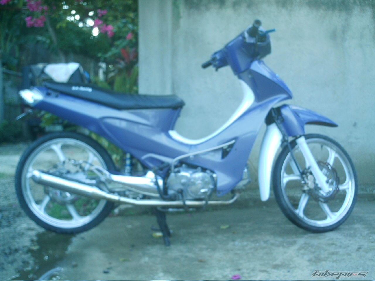 Bike Photo 800331