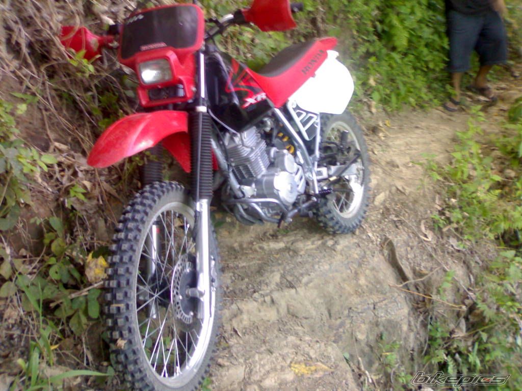 Bike Photo 800337