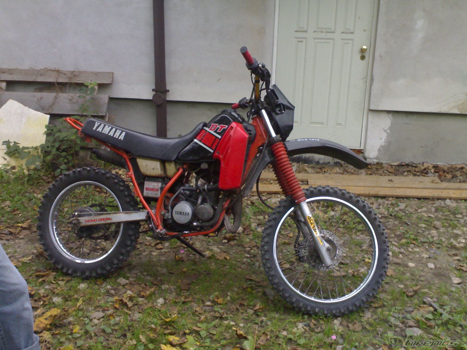 Photo 800345