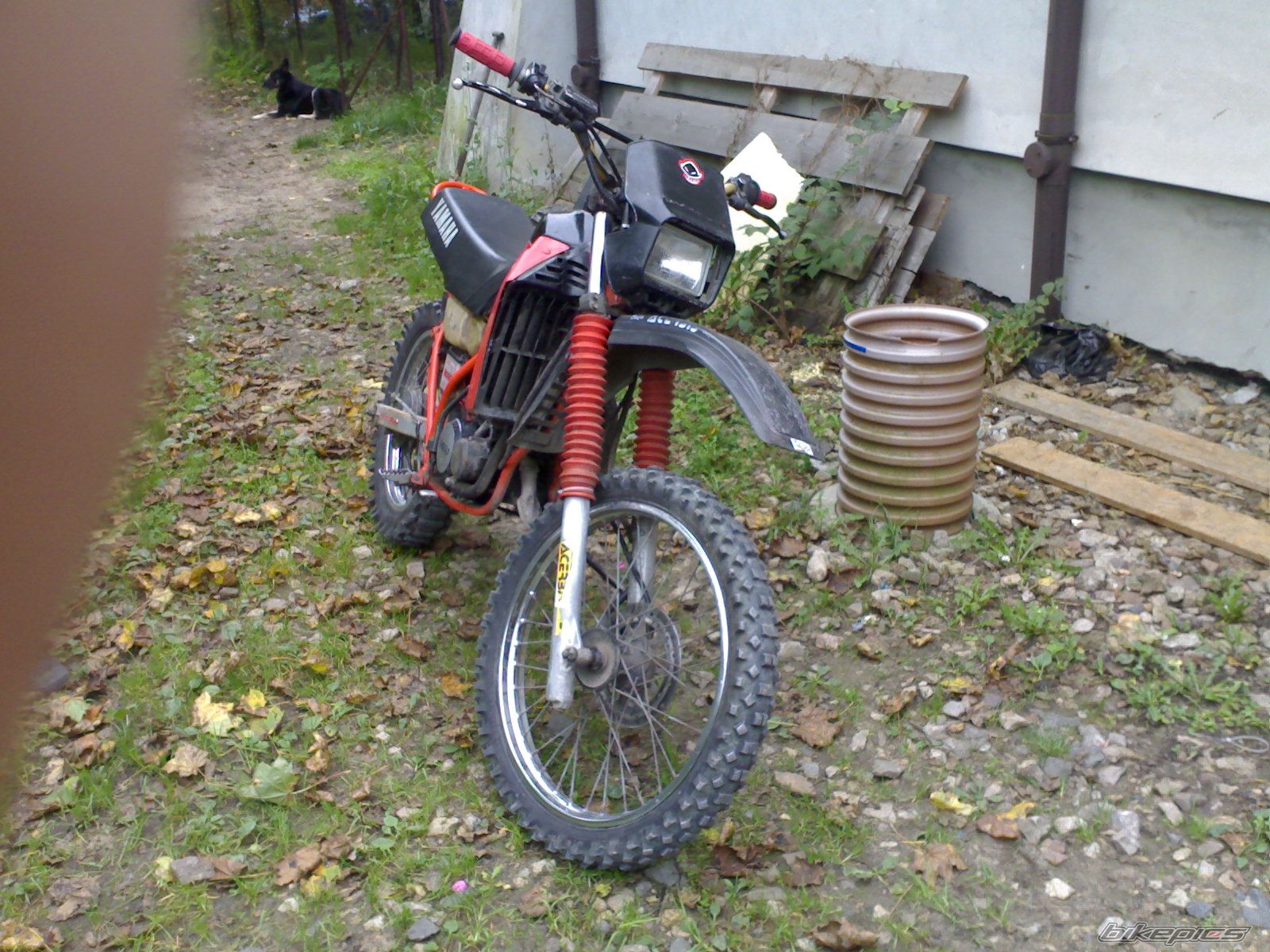 Photo 800348