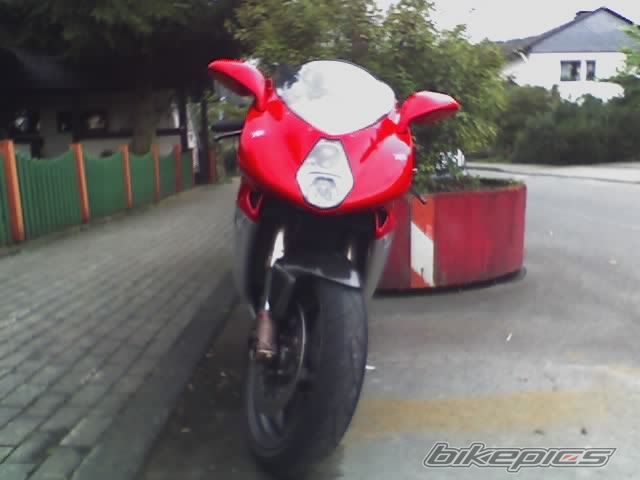 Photo 800391