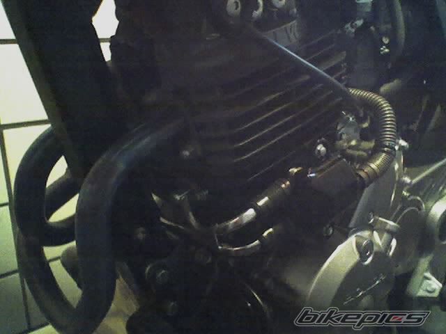 Bike Photo 800462
