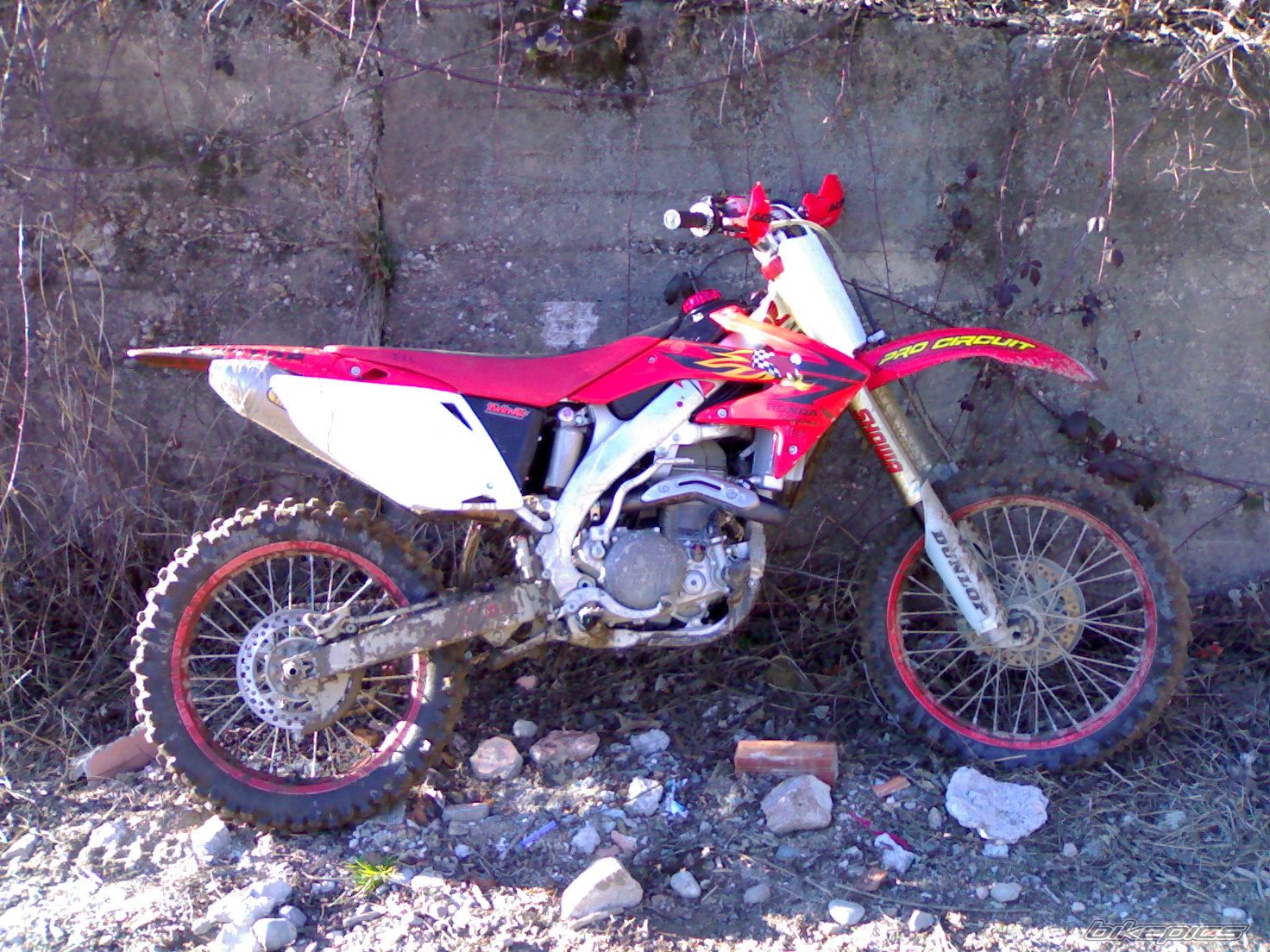 Bike Photo 800549