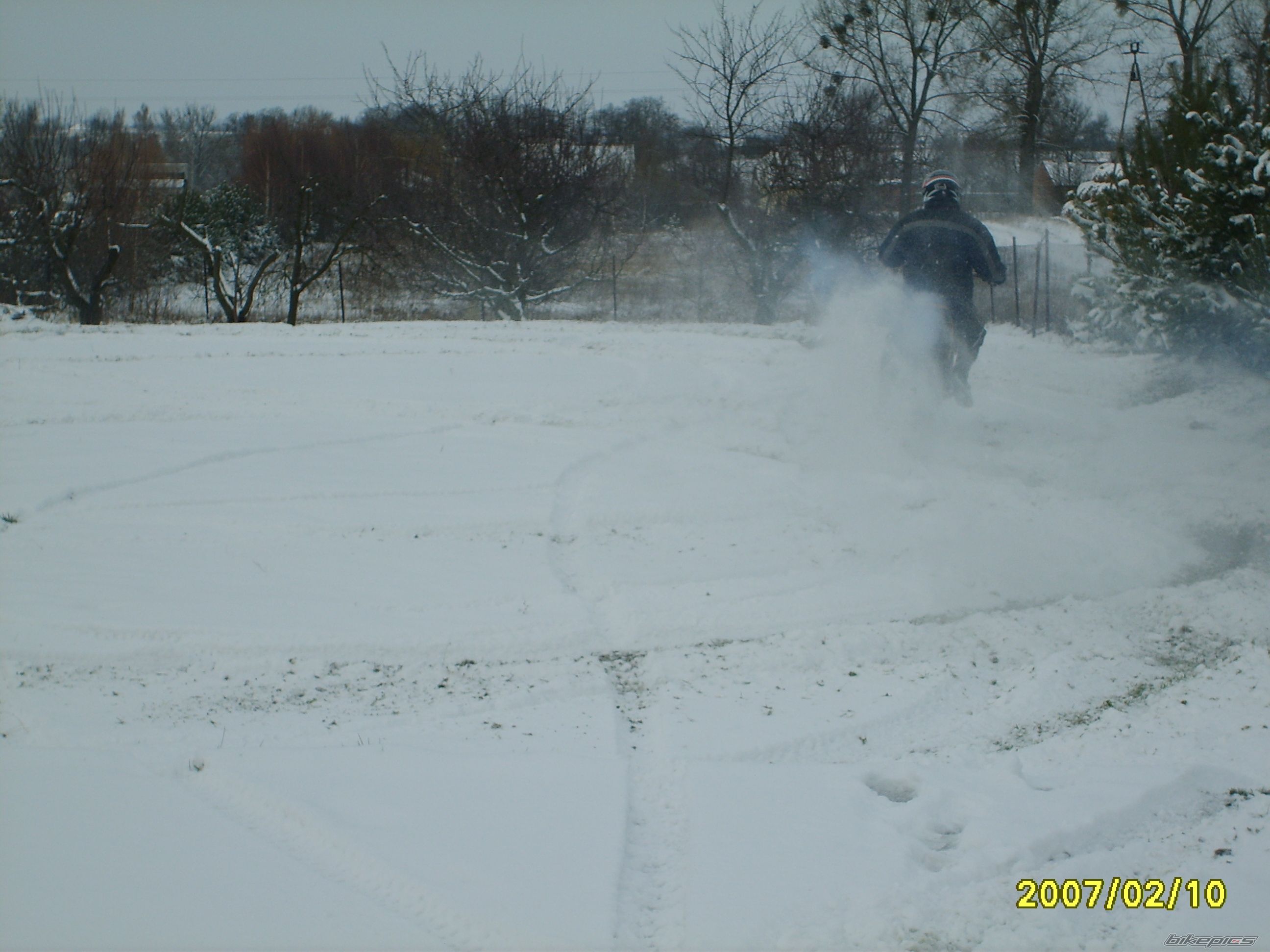 Photo 800635