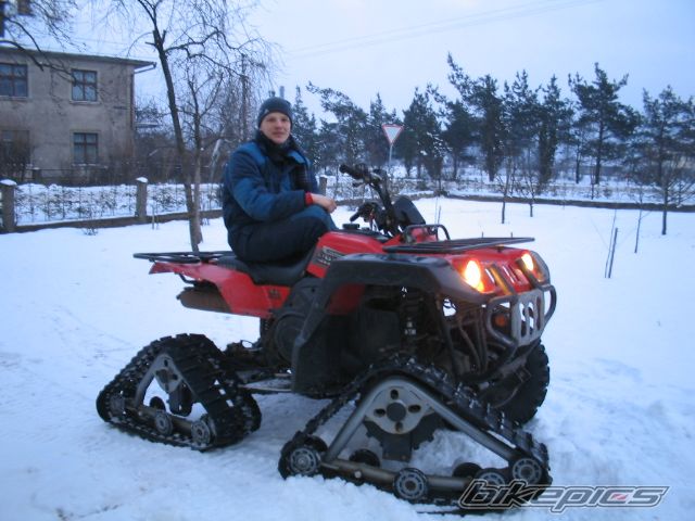 Photo 800639