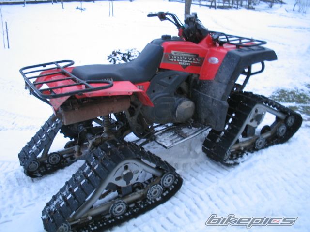 Photo 800644