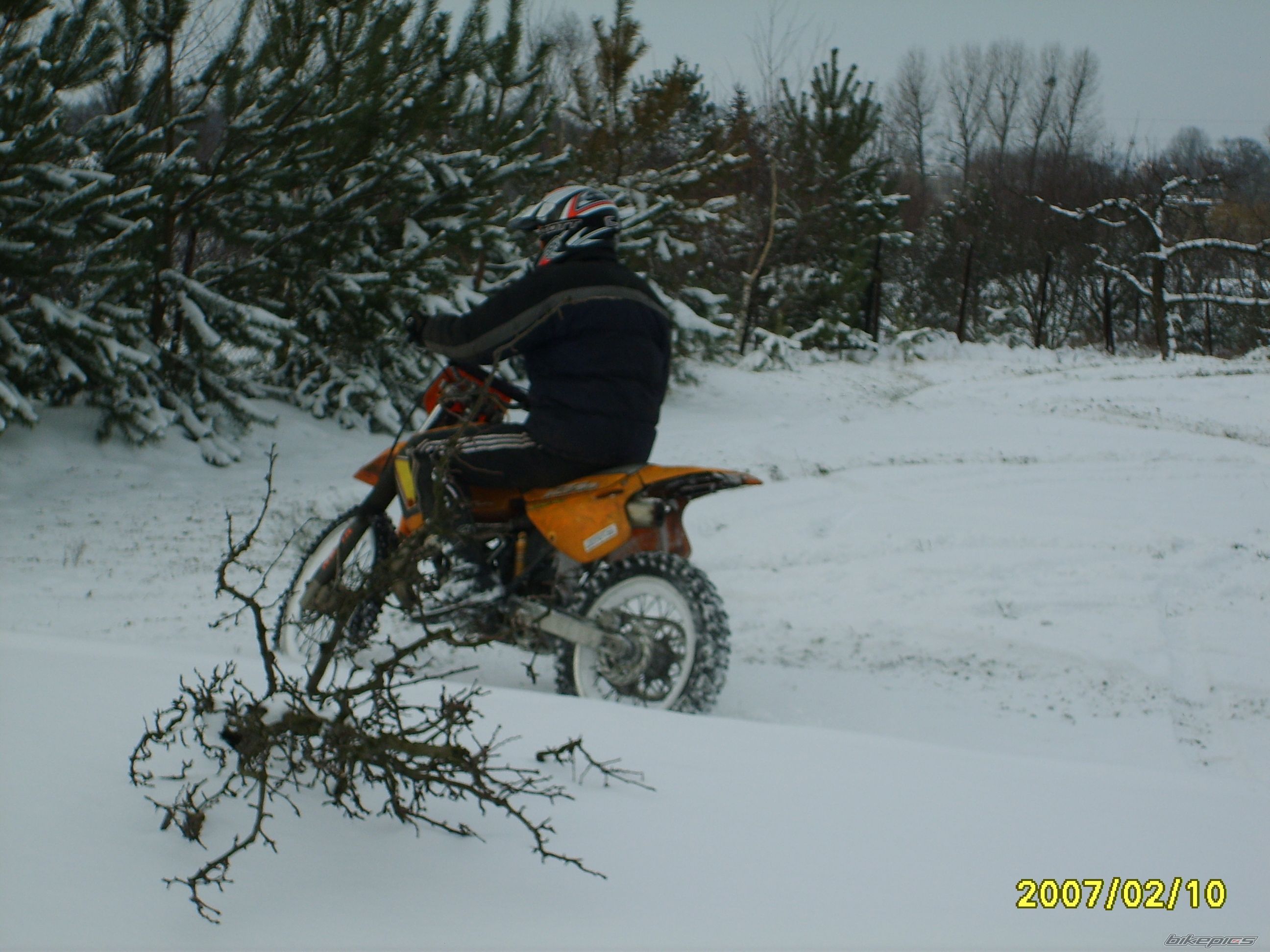 Photo 800645