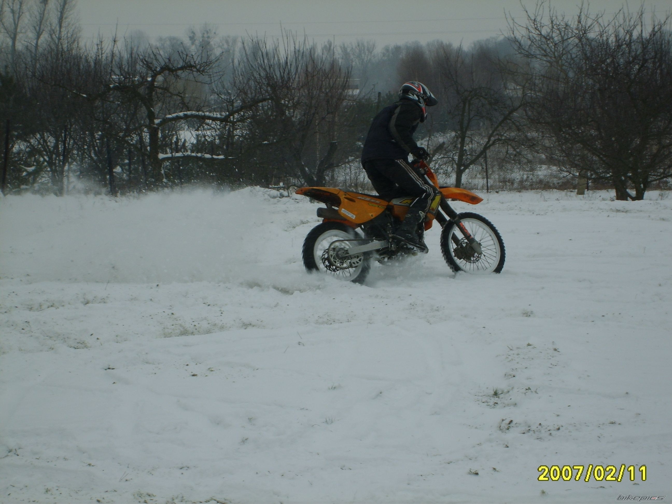 Photo 800667