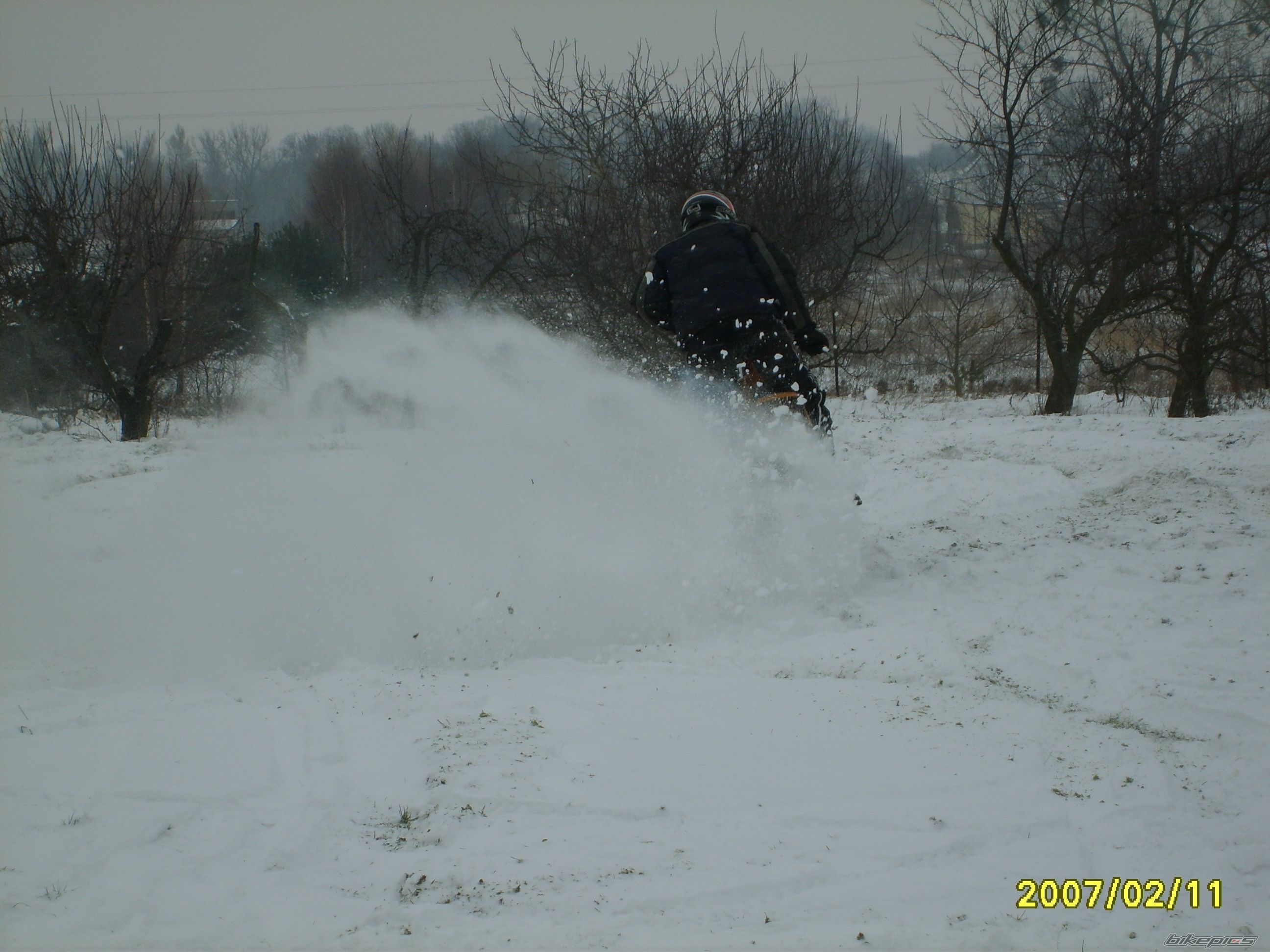 Photo 800677