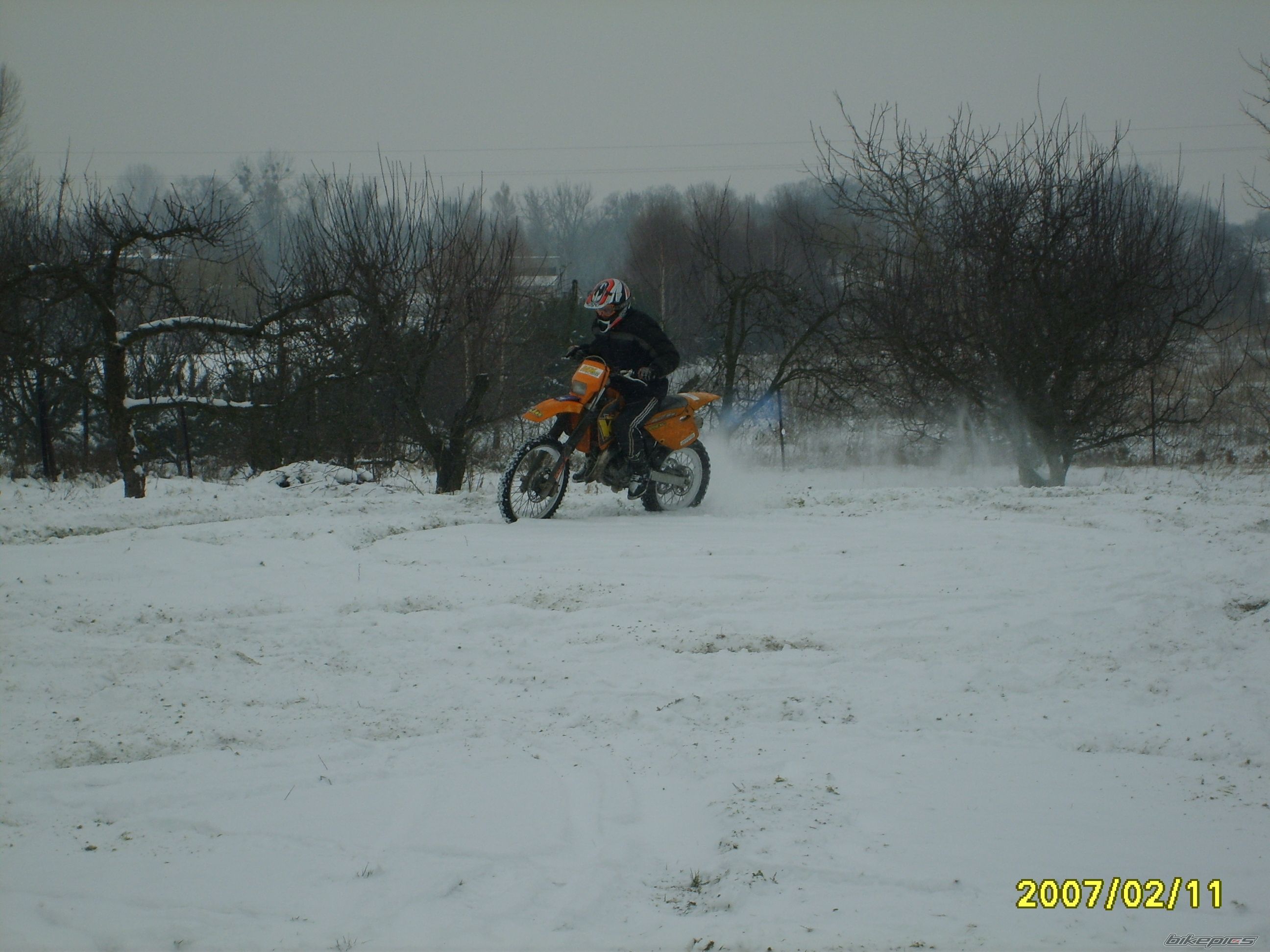 Photo 800688
