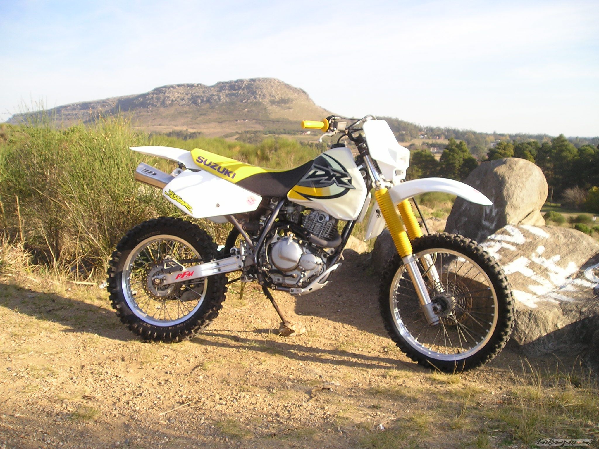 Photo 800727