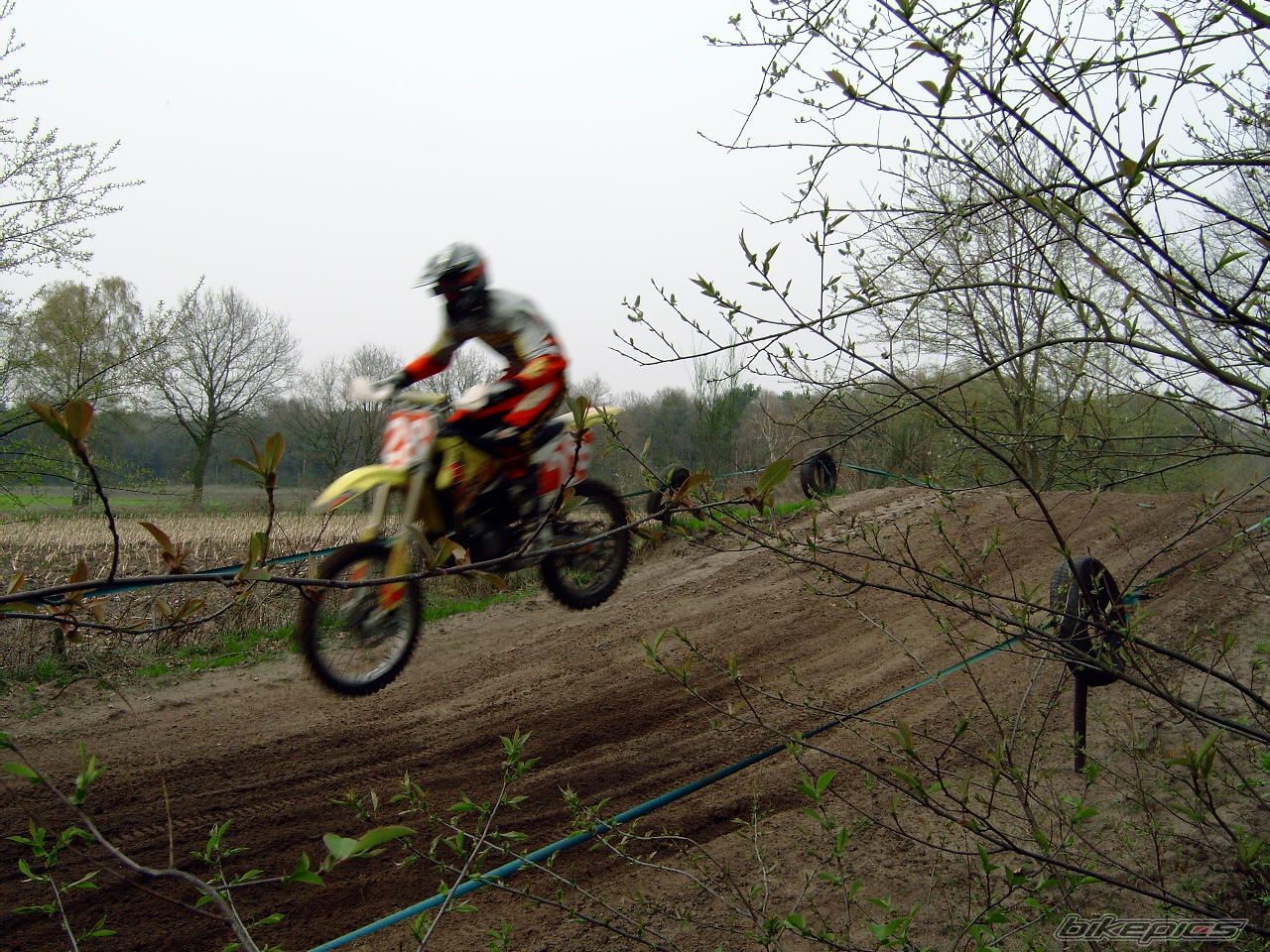Photo 800736