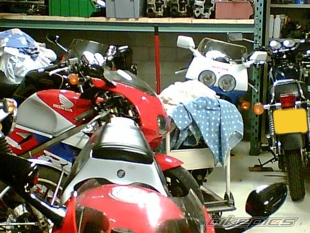 Photo 800793