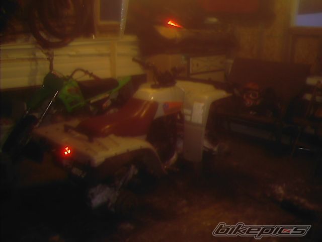Photo 800805