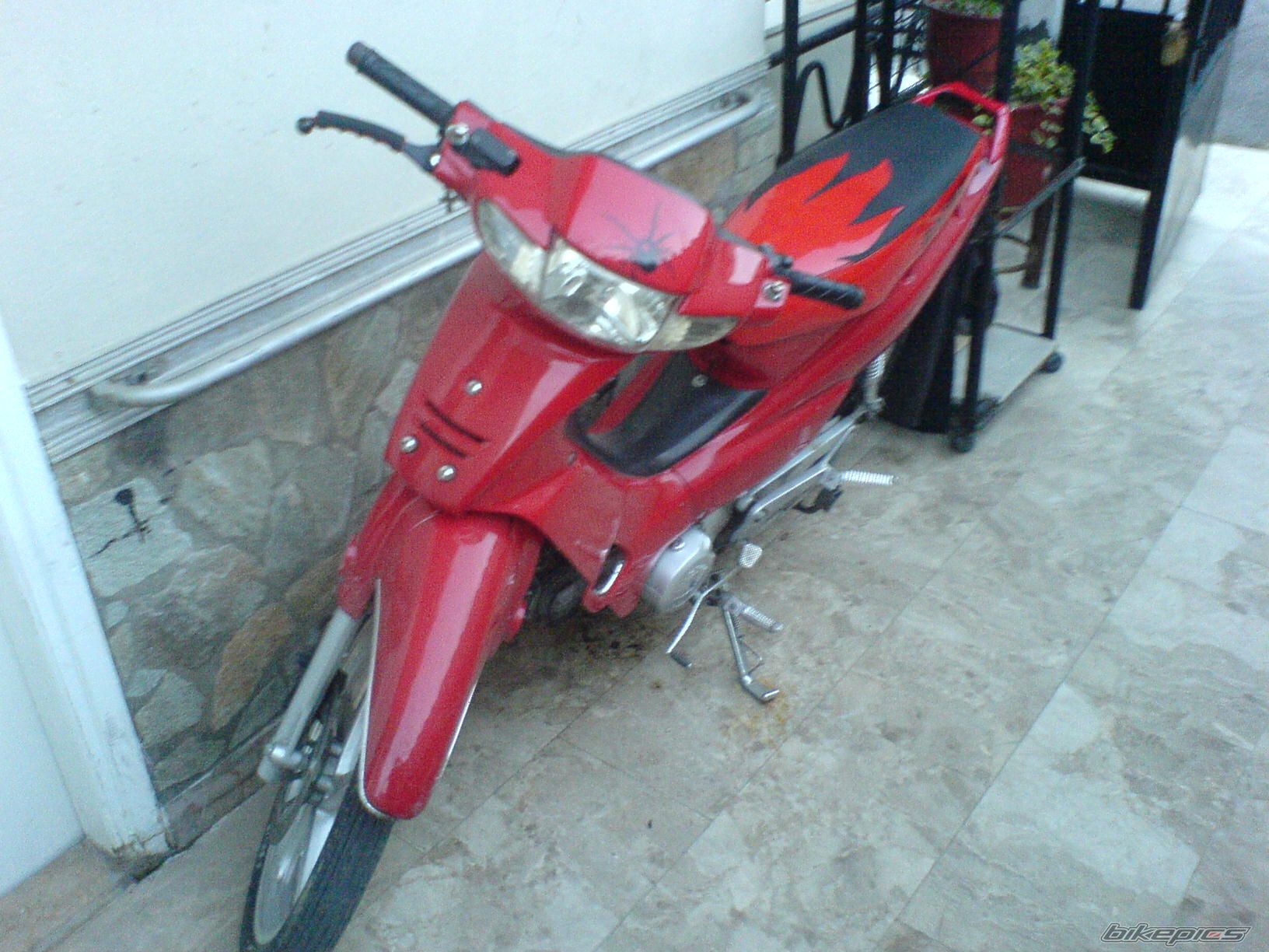 Photo 800834