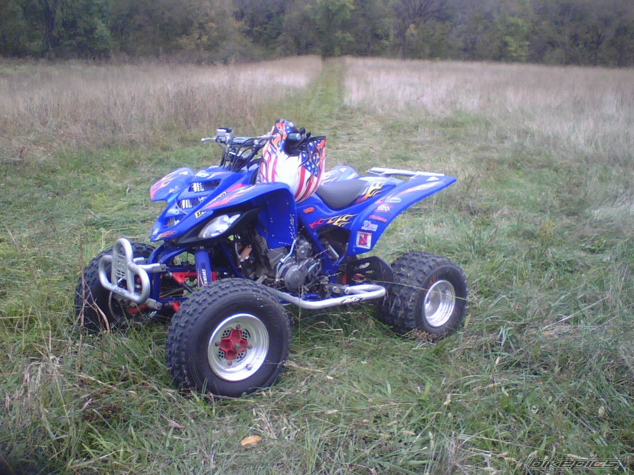 Photo 800929