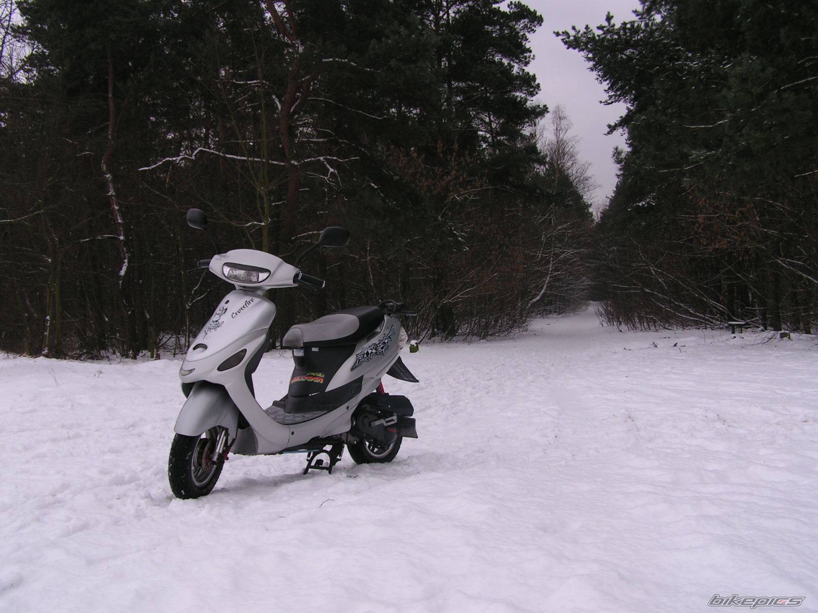 Bike Photo 801201