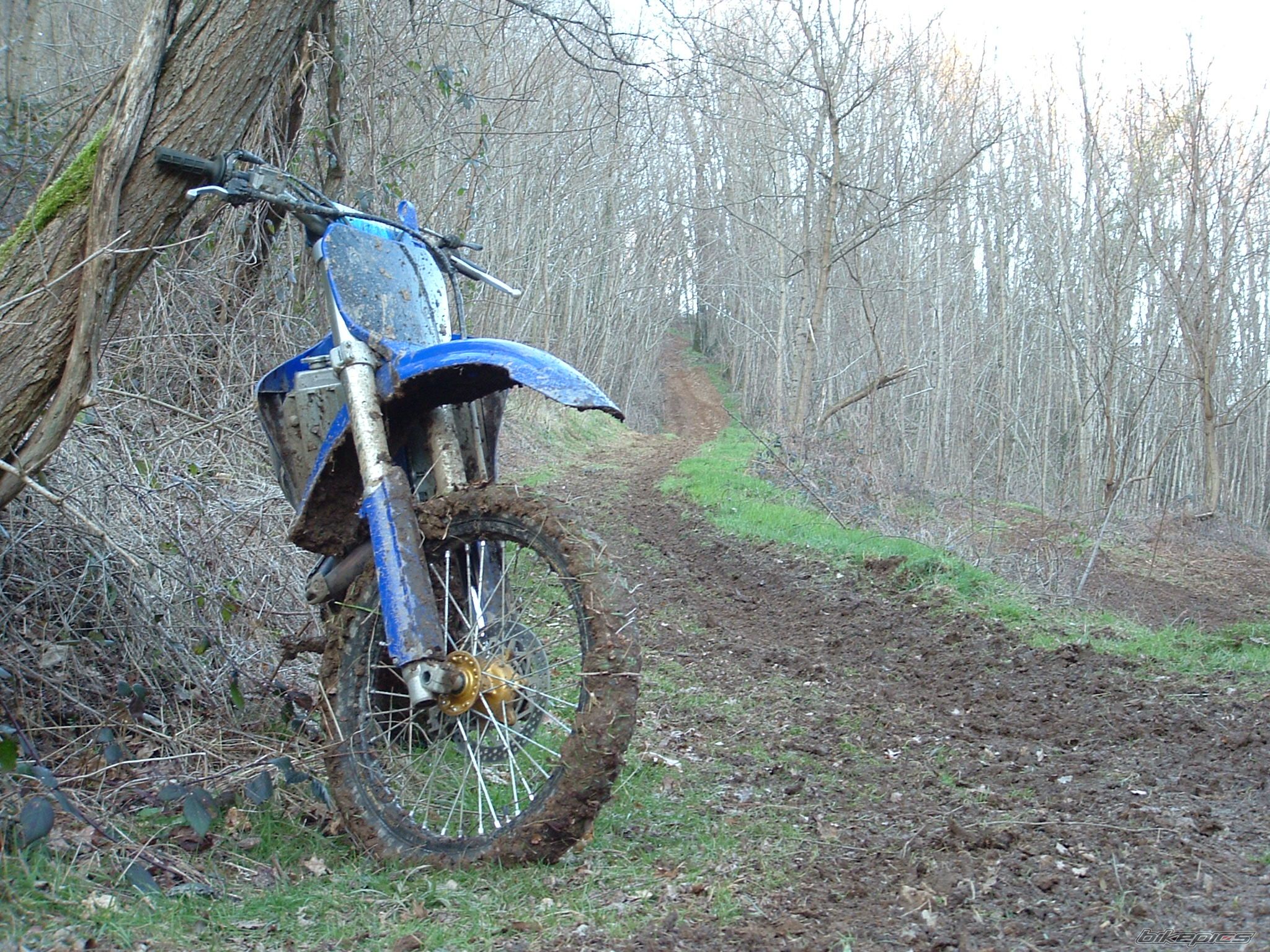 Bike Photo 801393