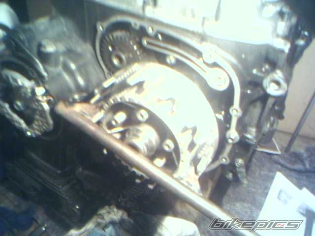 Photo 801486