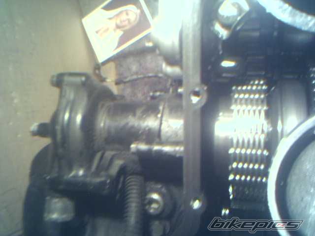 Photo 801491
