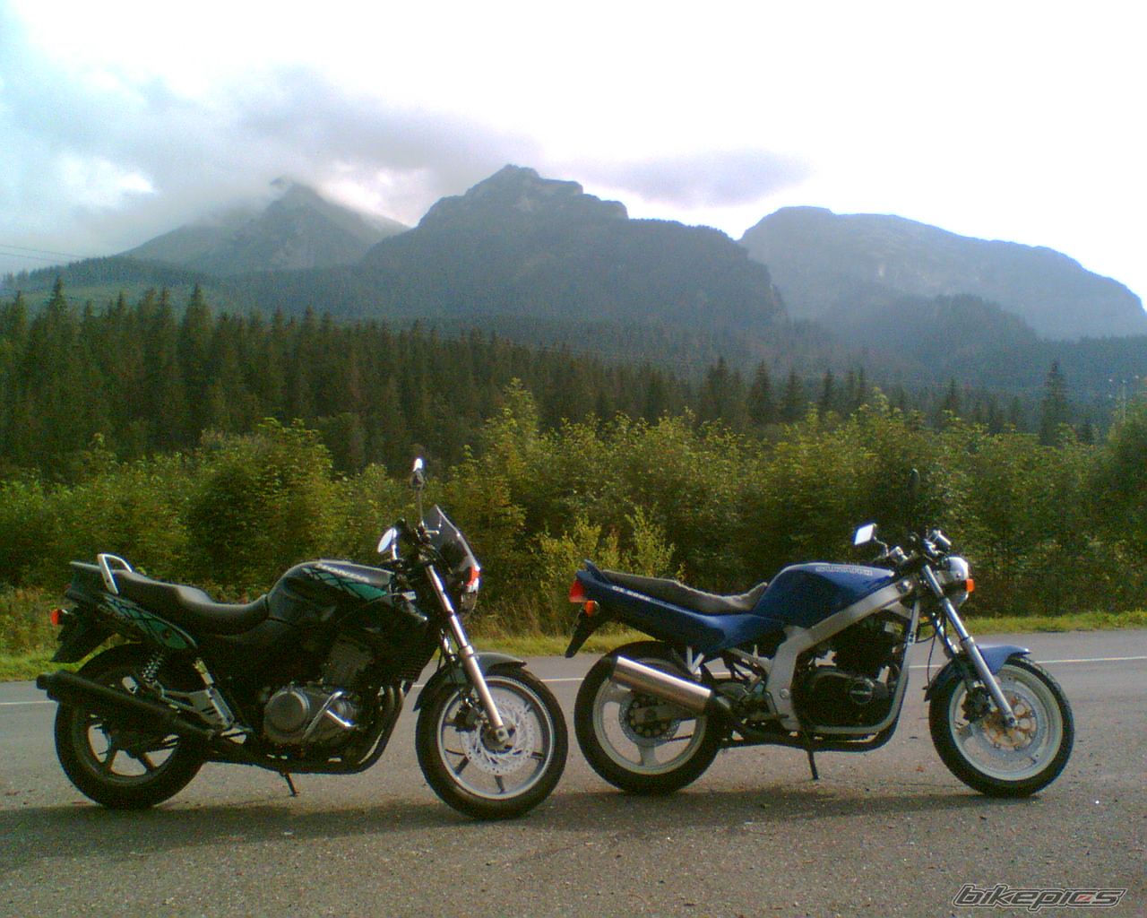 Photo 801545