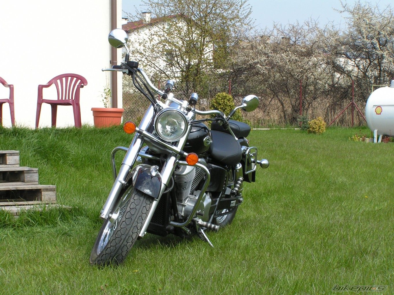 Photo 801877