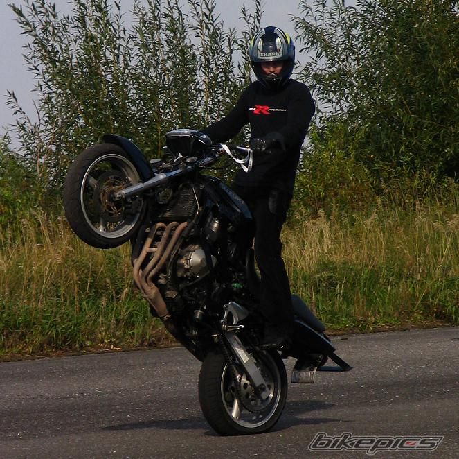 Photo 802228