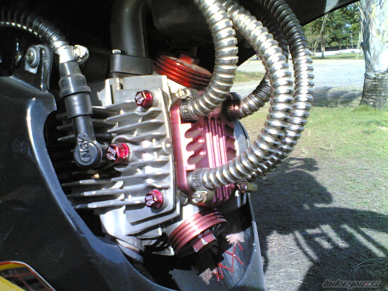 Bike Photo 802646