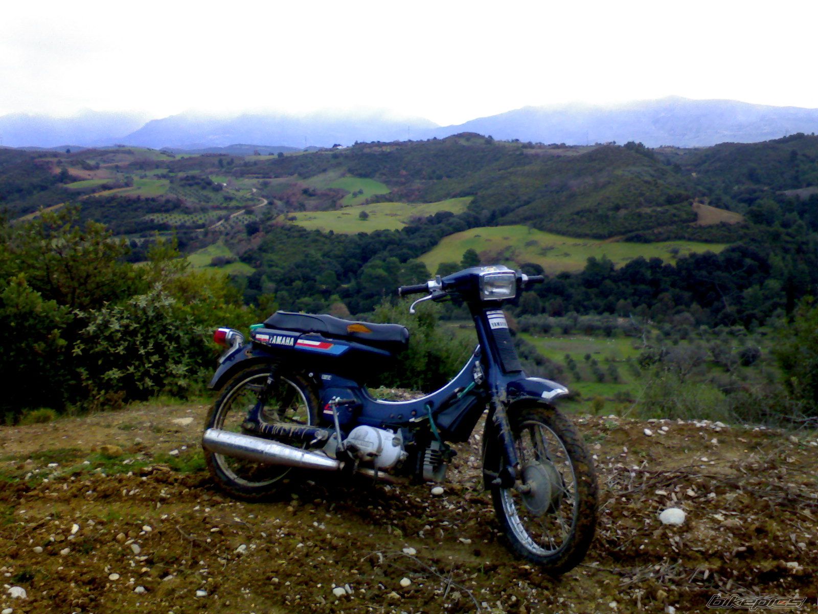 Photo 802915