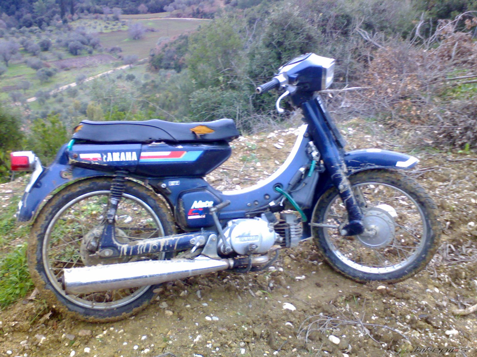 Photo 802917