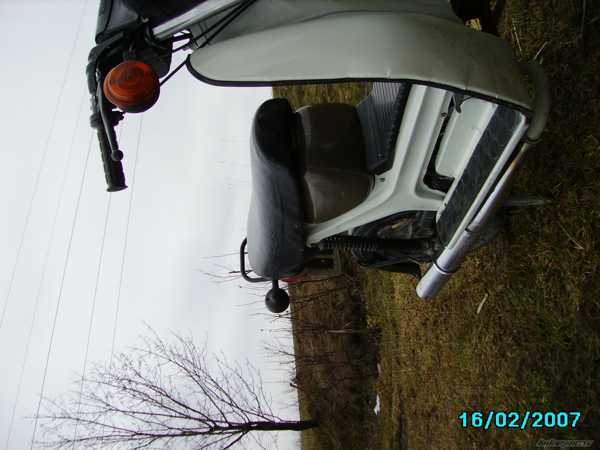 Photo 803002