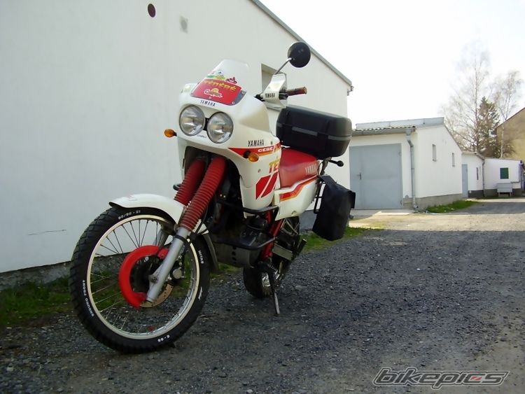 Photo 803079
