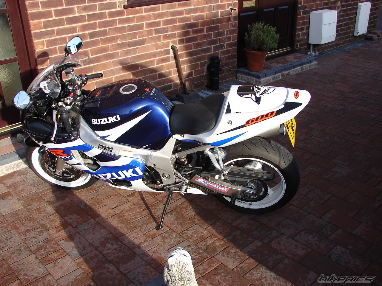 Bike Photo 803138