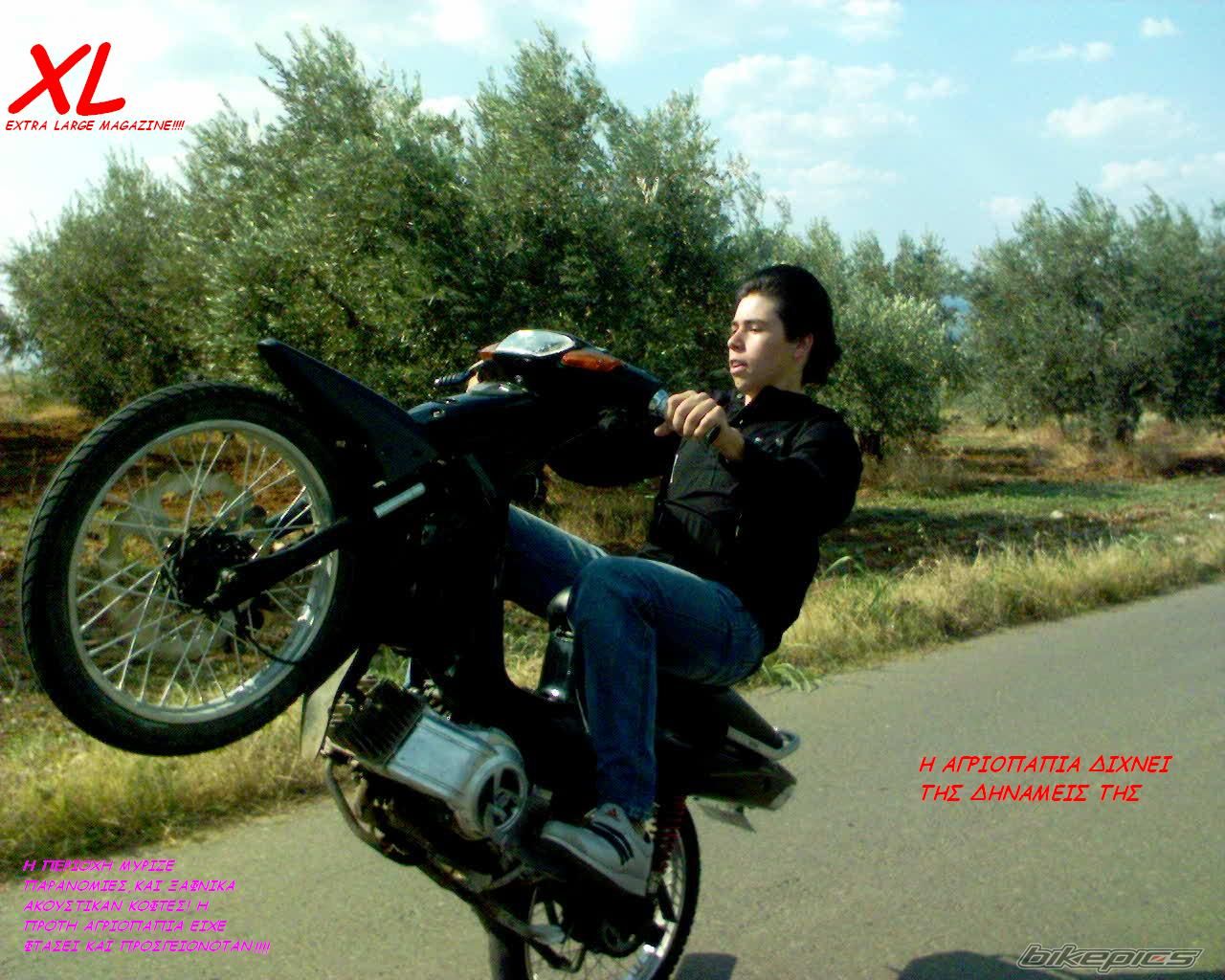 Photo 803153