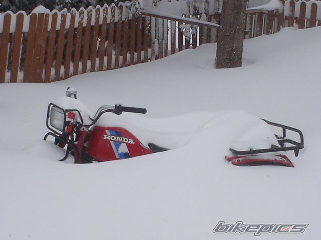 Bike Photo 803211