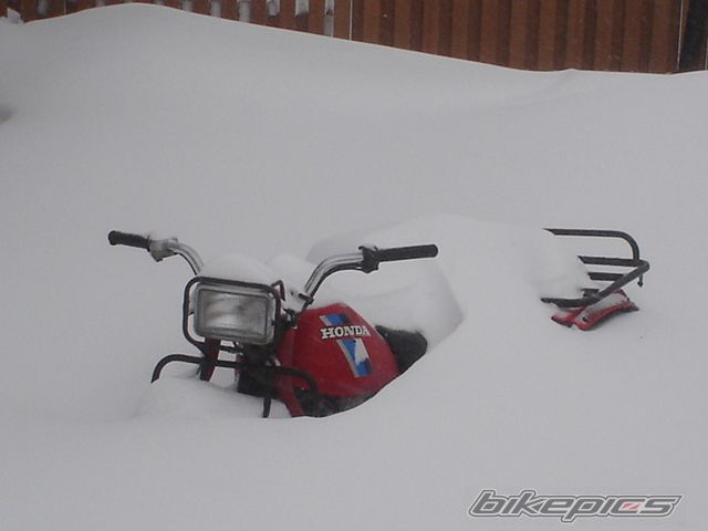 Photo 803213