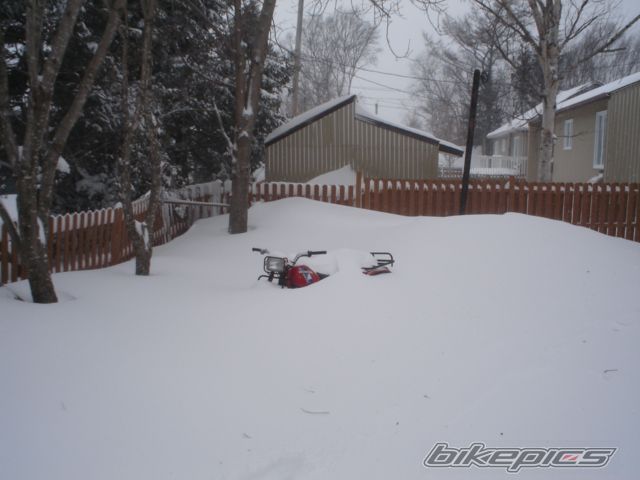 Photo 803214