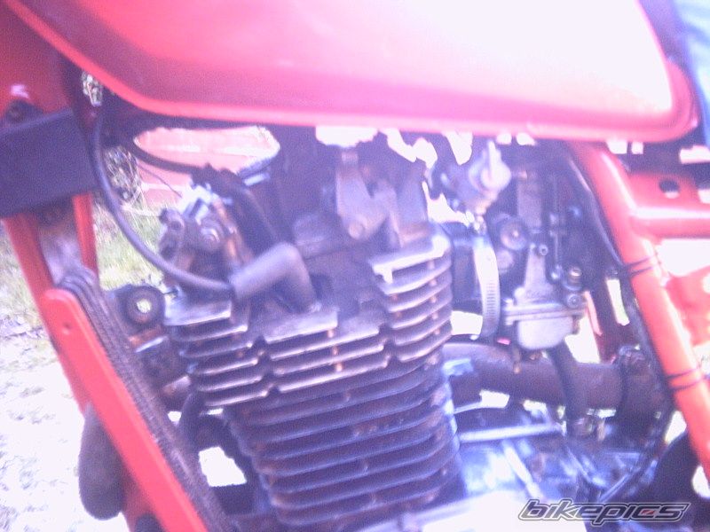 Photo 803273