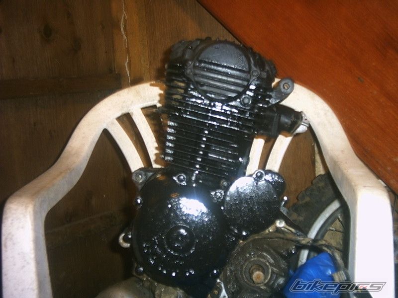 Photo 803284