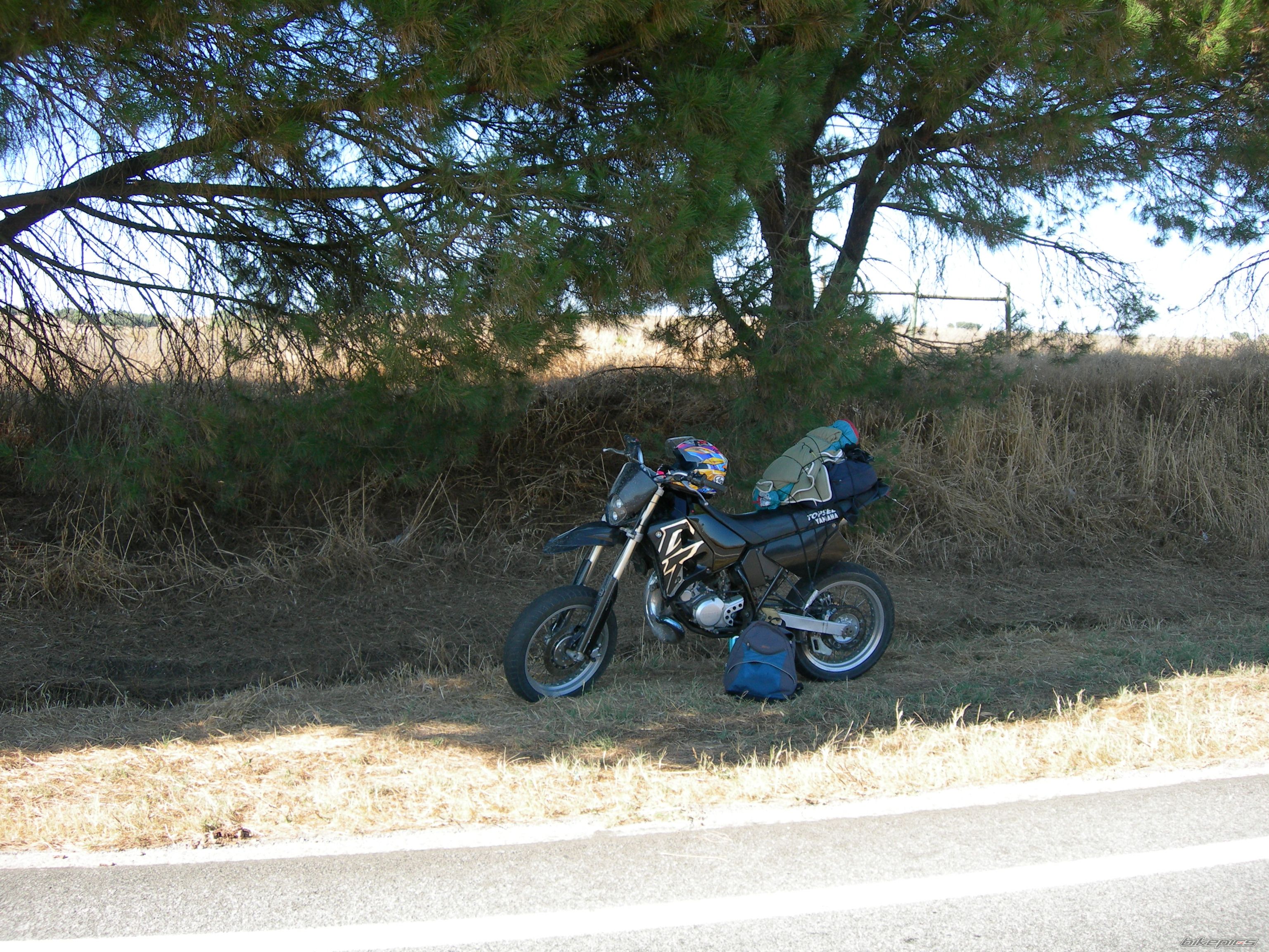 Bike Photo 803377