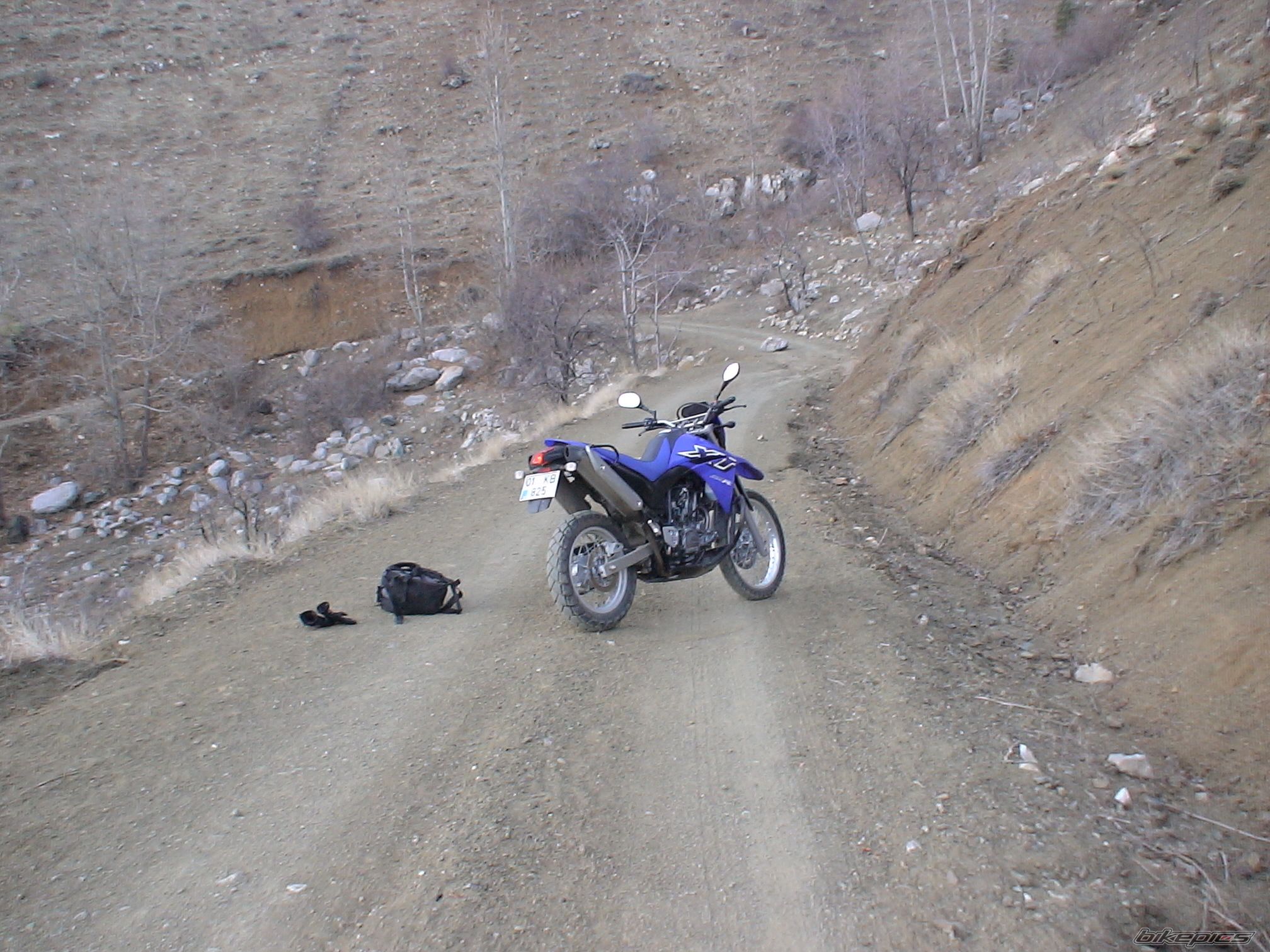 Photo 803482